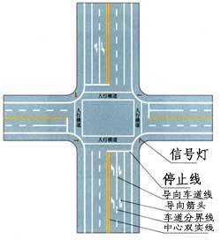 禁止标线1_交通标志大全_东莞学车团购网